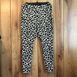 Allie Collection Sexy Stretch Straight Leg